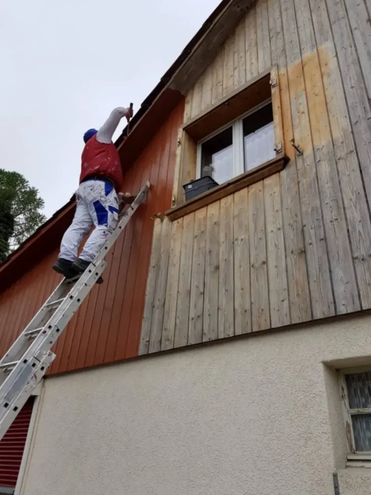 Cabane en bois